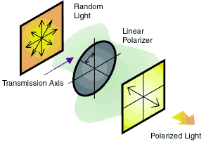 Successful Light Polarization Techniques | 에드몬드 옵틱스